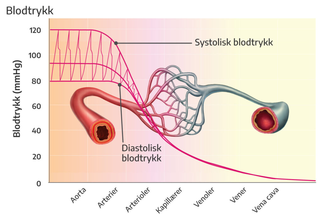 Blodtrykk